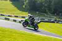 Advanced Group Green Bikes